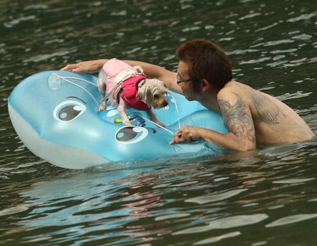 A man bathes his dog at Takeno Beach on August 4, 2013 in Toyooka, Japan. This beach is open for dogs and their owners every summer between the months of June and September. (Photo by Buddhika Weerasinghe/Getty Images)