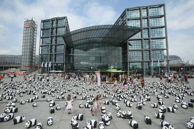 Elaia (C), 6, and her sister Lusitta, 4, play among 1,600 styrofoam panda bear sculptures displayed in front of Hauptbahnhof main railway station by the World Wildlife Fund on August 5, 2013 in Berlin, Germany. The WWF is celebrating its 50th anniversary and is drawing attention to the fact that only 1,600 panda bears remain in the wild. The display will soon travel to 25 other cities in Germny. (Photo by Sean Gallup/Getty Images)