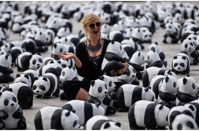 A woman poses as she has her picture taken amid 1600 panda bear sculptures in Berlin August 5, 2013. Marking the 50th anniversary of its existence, on Monday the German branch of the World Wide Fund for Nature (WWF) environmental conservation organisation placed 1600 panda bear sculptures on front of Berlin's main train station to draw attention to the plight of the endangered species that serves as the NGO's mascot. There are currently 1600 panda bears alive in the wild, the organisation said in a press release. (Photo by Thomas Peter/Reuters)