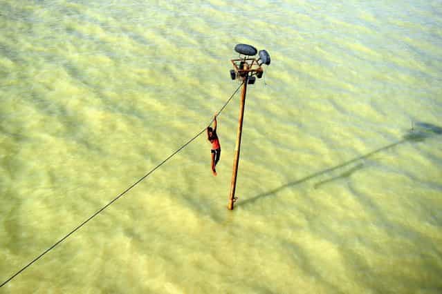An Indian youth dangles from a power line before diving into the floodwaters of an overflowing Ganges river in Allahabad on August 6, 2013. The monsoon, which covers the subcontinent from June to September and usually brings flooding, accounts for about 80 percent of India's annual rainfall. (Photo by Sanjay Kanojia/AFP Photo)