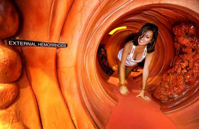 Kiersten Sorber from Orlando, Fla. crawls through the Colossal Colon during the United Ostomy Associations of America's biannual meeting, Thursday afternoon, August 8, 2013 in Jacksonville, Fla. (Photo by Bob Self/AP Photo/SIPA)
