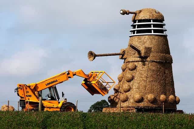 This 35ft straw sculpture of a Dalek is on display at Snugburys Ice Cream Farm in Cheshire, on August 3, 2013. (Photo by Peter Byrne/PA Wire)