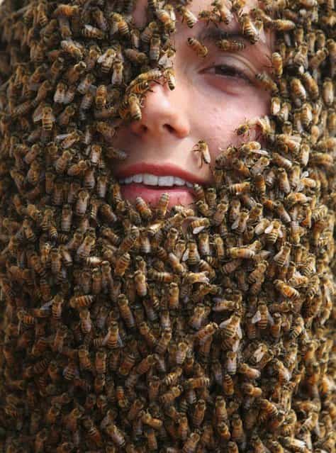 Marenda Schipper shows of her Bee Beard at an annual competition at Clovermead Adventure Farm, Saturday August 10, 2013 in Aylmer, Ontario, Canada. (Photo by Dave Chidley/AP Photo/The Canadian Press)
