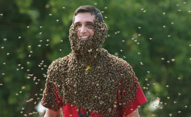 Patrick Boelsterli is surrounded by flying bees as he shows of his bee beard at an annual competition at Clovermead Adventure Farm, Saturday August 10, 2013 in Aylmer, Ontario, Canada. (Photo by Dave Chidley/AP Photo/The Canadian Press)
