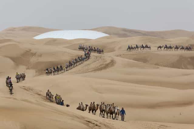 Toursits ride camels on a tour of Xiangshawan Desert, also called Sounding Sand Desert on July 18, 2013 in Ordos of Inner Mongolia Autonomous Region, China. Xiangshawan is China's famous tourist resort in the desert. It is located along the middle section of Kubuqi Desert on the south tip of Dalate League under Ordos City. Sliding down from the 110-metre-high, 45-degree sand hill, running a course of 200 metres, the sands produce the sound of automobile engines, a natural phenomenon that nobody can explain. (Photo by Feng Li/Getty Images)