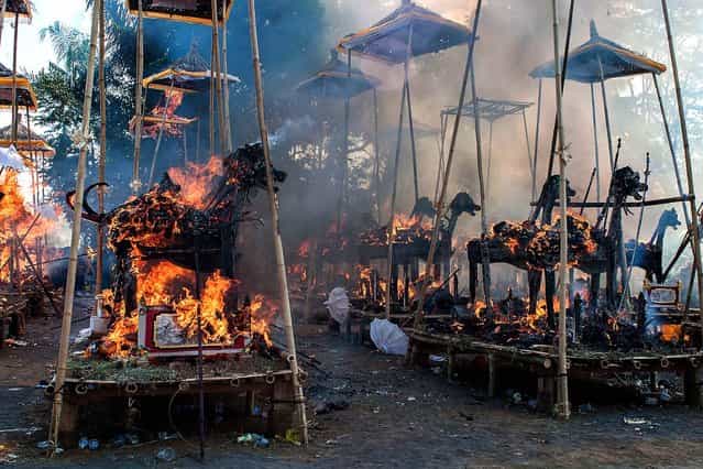 Sarcophagi burn at a cremation site during a Balinese Hindu mass cremation in Ubud, Bali, Indonesia, on August 18, 2013. More than 60 corpses were collectively cremated to share the expense of the ceremony. Well known as Ngaben, cremation is one of the most important ceremonies for Balinese Hindus, as they believe it will free the spirit from the deceased body so it can reincarnate. (Photo by Putu Sayoga/Getty Images)