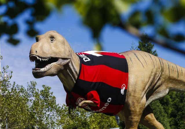 A life-size Tyrannosaurus rex statue, dressed with a jersey of the Bundesliga soccer team Eintracht Frankfurt, stands in front of the Senckenberg Natural Museum in Frankfurt, on August 16, 2013. The jersey was placed on the statue in preparation for the August 17 match when Eintracht faces FC Bayern Munich in its first home game of the Bundesliga season. (Photo by Ralph Orlowski/Associated Press)