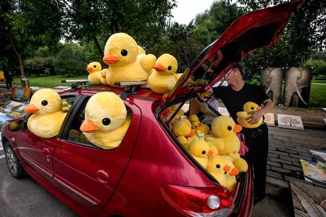 A vendor sells stuffed animals from his car in Beijing, China, on August 12, 2013. (Photo by Ng Han Guan/Associated Press)