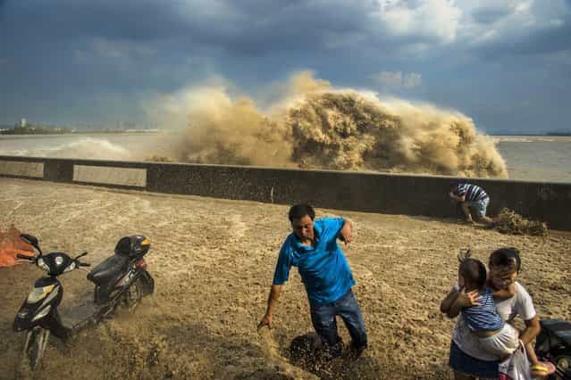 Visitors run away as waves from a tidal bore surge past a barrier on the banks of Qiantang River, in Hangzhou Zhejiang province, on August 27, 2013. (Photo by Reuters/Stringer)