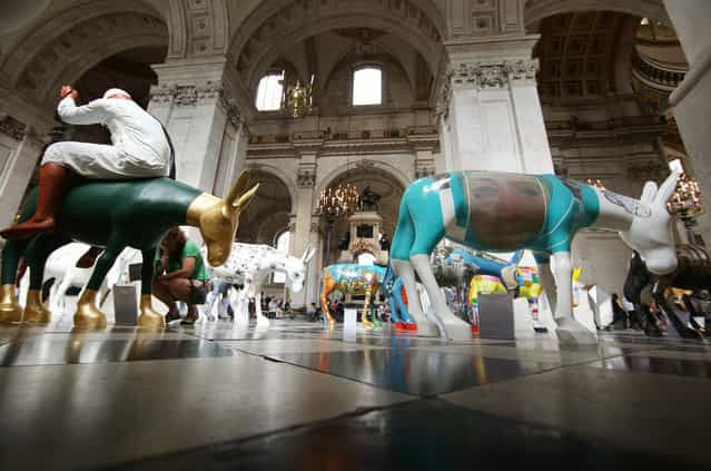 Artist painted donkey statues are displayed in the [Caravan] exhibition on August 30, 2013 in London, England. (Photo by Peter Macdiarmid/Getty Images)