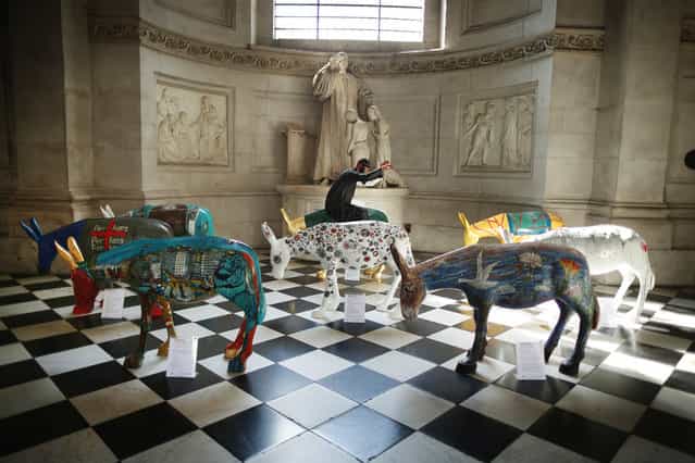 Artist painted donkey statues are displayed in the [Caravan] exhibition on August 30, 2013 in London, England. (Photo by Peter Macdiarmid/Getty Images)