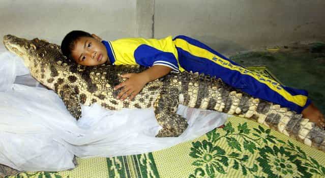 Wattana Thongjon, 10, lays in his bed alongside his pet crocodile [Kheng] at his home in Thailand's rural Phichit province August 28, 2002. Wattana's father Prayoon found the crocodile as a hatchling in a local pond three years ago and it has grown to over one-metre in length and weighs 40 kg (88 pounds). The croc is pampered with a diet of fresh chicken, has his sharp teeth brushed every day by Prayoon, and lives indoors with their two pet dogs. (Photo by Reuters)