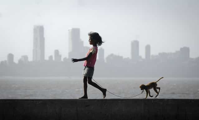 A girl walks with her pet monkey on a promenade along the Arabian Sea in Mumbai March 5, 2012. (Photo by Reuters/Stringer)