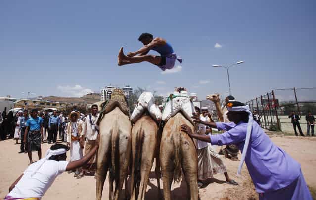 A Bedouin man jumps over camels during the Sanaa Summer Festival in Sanaa August 20, 2013. The two-week festival aims to stimulate domestic tourism and reassure local and international tourists about Yemen's stability. (Photo by Khaled Abdullah/Reuters)