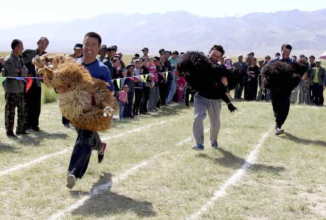 Participants run as they carry their sheep during a [Running with Sheep] race in Yiwu county, Xinjiang Uighur Autonomous Region, August 22, 2013. The event is part of a harvest celebration activity which also includes a sheep beauty contest and a sheep slaughter. (Photo by Reuters/China Daily)