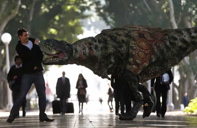 A man reacts as a performer dressed in a Tyrannosaurus rex dinosaur costume walks next to him during a publicity event in central Sydney August 28, 2013. The performance was a promotion for an upcoming exhibition at the Australian Museum titled [Tyrannosaurs – Meet the Family] which showcases ancestors of the Tyrannosaurus rex, with more than 10 life-size dinosaur specimens on display. (Photo by Daniel Munoz/Reuters)