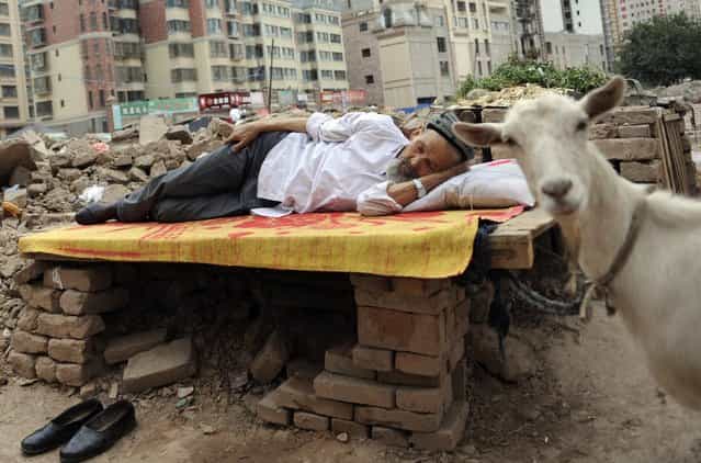 An ethnic Uighur man takes a nap on a board as his sheep, which is tied to the board, stands next to him at a demolition site in Aksu, Xinjiang Uighur Autonomous Region August 13, 2012. (Photo by Reuters/Stringer)