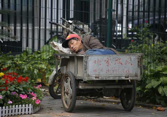 A man takes a nap in the back of his cycle cart at the gate of the Tayuan Diplomatic Office Building in Beijing October 27, 2012. (Photo by Petar Kujundzic/Reuters)