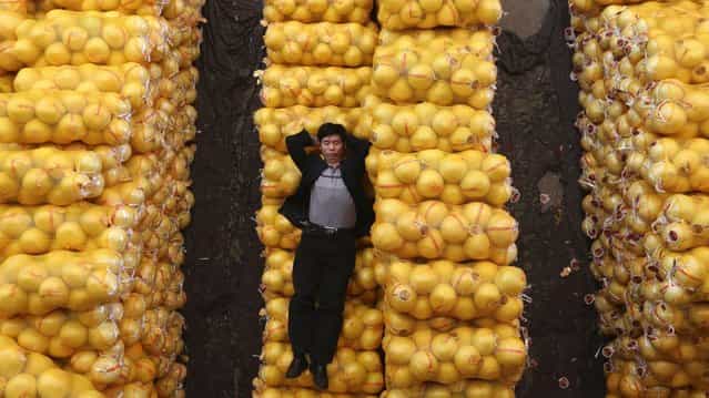 A vendor sleeps on packs of grapefruit at a market in Wuhan, Hubei province, October 15, 2012. (Photo by Reuters)