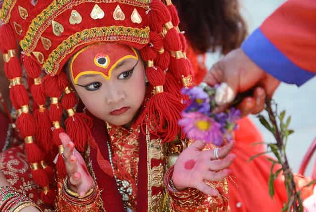 A young Nepalese girl dressed in the outfit of a Kumari, the living goddess, looks on as she takes part in Kumari Puja rituals at Hanuman Dhoka in Durbar Square of Kathmandu on September 17, 2013. Some 504 girls under the age of nine from across the country have been brought to the temple for mass worship, protection from evil, and good luck in the future. Kumari, or Kumari Devi, is the tradition of worshiping young pre-pubescent girls as manifestations of the divine female energy or devi in Hindu religious traditions. (Photo by Prakash Mathema/AFP Photo)