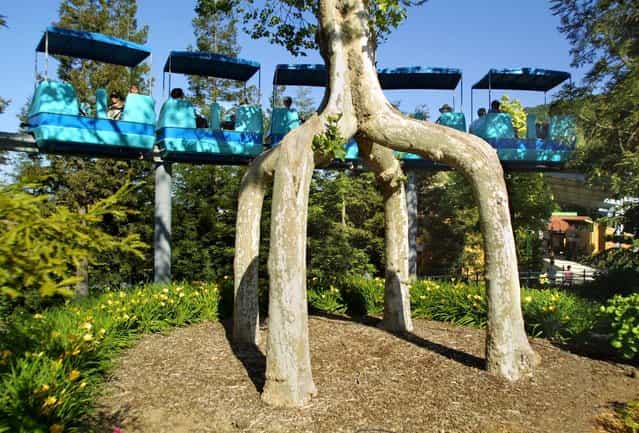The Weird Shaped Trees Of Axel Erlandson