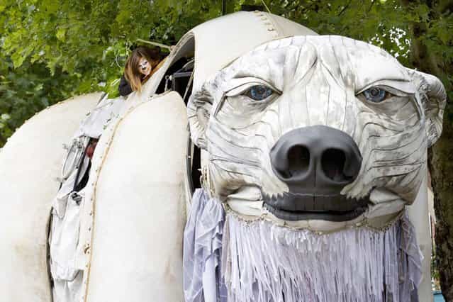 A Greenpeace activist ducks a low branch on top of Aurora, a giant polar bear puppet, as they take part in a street parade to raise awareness of Arctic conservation in London, on September 16, 2013. (Photo by Justin Tallis/AFP Photo)