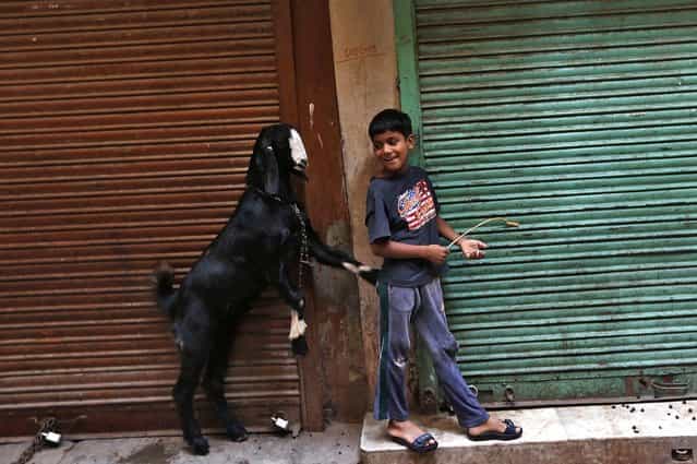 A boy plays with a goat in front of closed shops in an alley in the old quarters of Delhi, India, on September 22, 2013. (Photo by Mansi Thapliyal/Reuters)