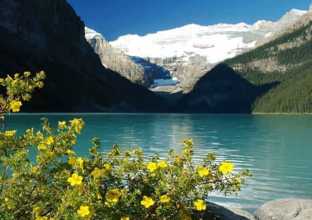 Lake Louise In Canada