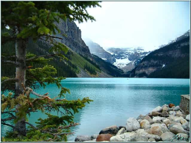 Lake Louise In Canada