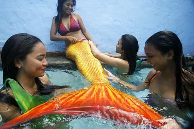 Filipino mermaid swimming teacher Genevieve Reyes (C) has her tail adjusted by students during a lesson by the Philippines Mermaid Swimming Academy in a private swimming pool in Makati, Manila, Philippines, 15 June 2013. The Philippine Mermaid Swimming Academy (PMSA) was created in 2012 in Boracay by Normeth Preglo of The Philippines and US swimming instructor Djuna Rocha. The swimming lessons were brought to Manila in April 2013. The price for a two-hour class is 37 US dollars. (Photo by Dennis M. Sabangan/EPA)