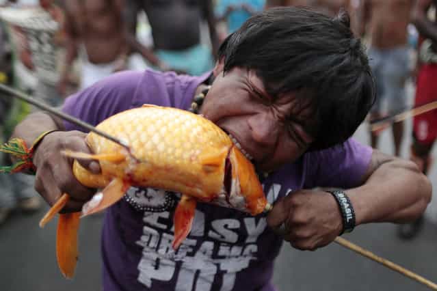 A protester bites a fish caught from the lake in front of the Justice Palace, during a demonstration by indigenous Indians against proposed constitutional amendment PEC 215, which amends the rules for demarcation of indigenous lands, in Brasilia, October 2, 2013. According to the organizers, the protest is part of the National Indigenous Mobilization, with events in various parts of Brazil from September 30 to October 5, to defend the territorial rights of the indigenous population against the government, agribusiness and large mining and energy companies. (Photo by Ueslei Marcelino/Reuters)