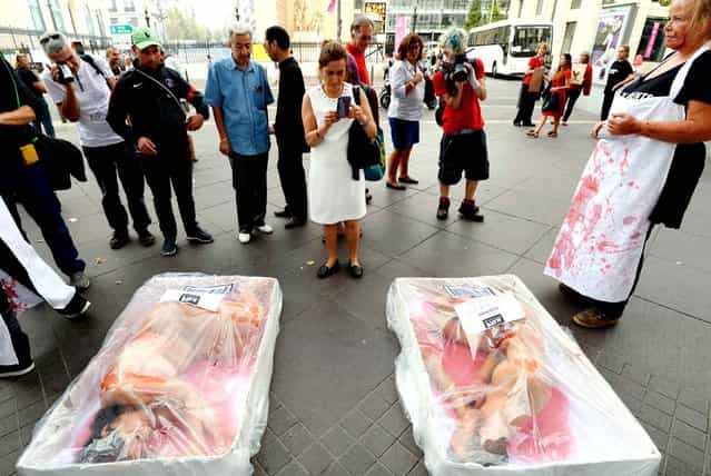People stand by animal rights activists from the association ALARM lying on punnets like pieces of meat to protest against animal exploitation as part of the International Vegetarian Week on October 3, 2013 in Marseille, southern France. (Photo by Anne-Christine Poujoulat/AFP Photo)