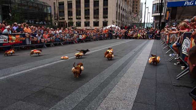 2013 Running of the Wieners