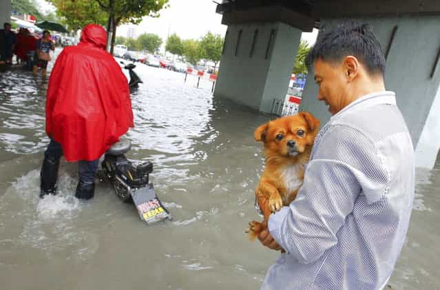 A man holds his dog as he walks along a flooded street after Typhoon Fitow hit Shanghai October 8, 2013. Four people were killed and hundreds of thousands evacuated after Typhoon Fitow hit eastern China, destroying houses and farmlands and closing ports and airports. (Photo by Reuters/Stringer)