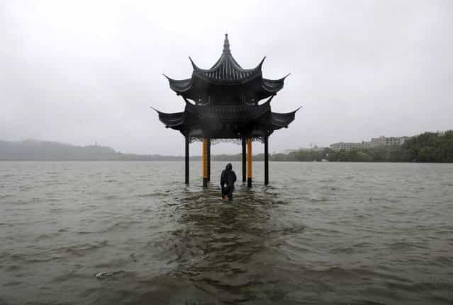 A man walks towards a flooded pavilion by the overflowing West Lake after Typhoon Fitow hit Hangzhou, Zhejiang province October 8, 2013. Four people were killed and hundreds of thousands evacuated after Typhoon Fitow hit eastern China, destroying houses and farmlands and closing ports and airports. (Photo by Lang Lang/Reuters)