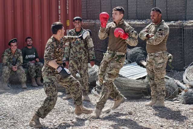 [Breaking Barriers] – Soldiers from 1 Scots are seen bonding with their Afghan colleagues during a checkpoint visits. (Photo by Jamie Peters/PA Wire)