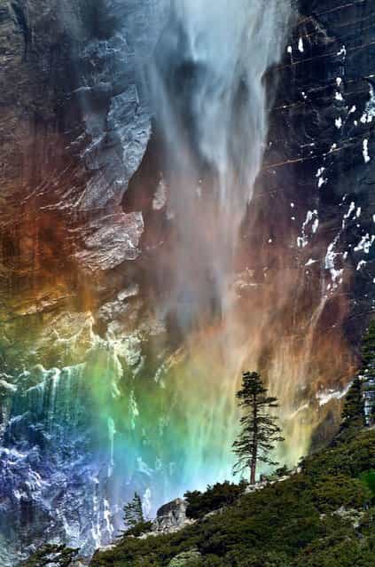 This stunning rainbow beneath a waterfall is a rare phenomenon that has become one of North America's star attractions in Yosemite. (Photo by Caters News Agency)