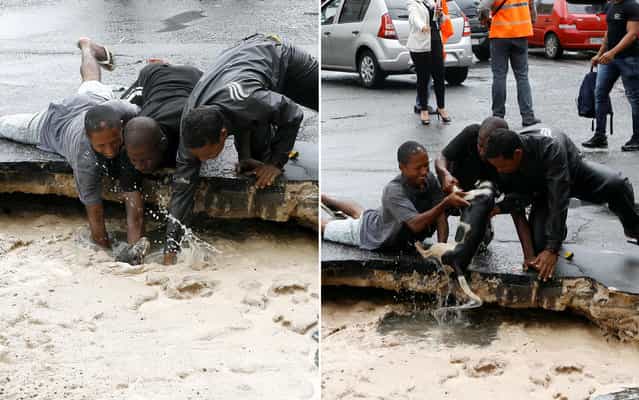 Locals rescue the dog who has fallen in a gully formed after heavy rain in the Lower City, in Salvador, on Oktober 10, 2013. (Photo by Marco Aurélio Martins/Ag. A Tarde/Folhapress)