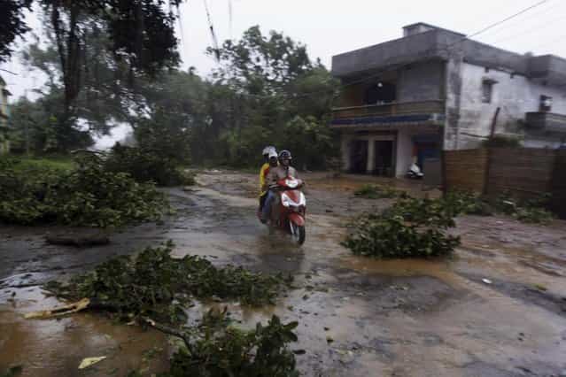 Motorcyclist drives past fallen trees during heavy rain and winds near Gopalpur beach in Ganjam district about 200 kilometers (125 miles) from the eastern Indian city Bhubaneswar, India, Saturday, October 12, 2013. Hundreds of thousands of people living along India's eastern coastline were taking shelter Saturday from a massive, powerful cyclone Phailin that was set to reach land packing destructive winds and heavy rains. (Photo by Biswaranjan Rout/AP Photo)