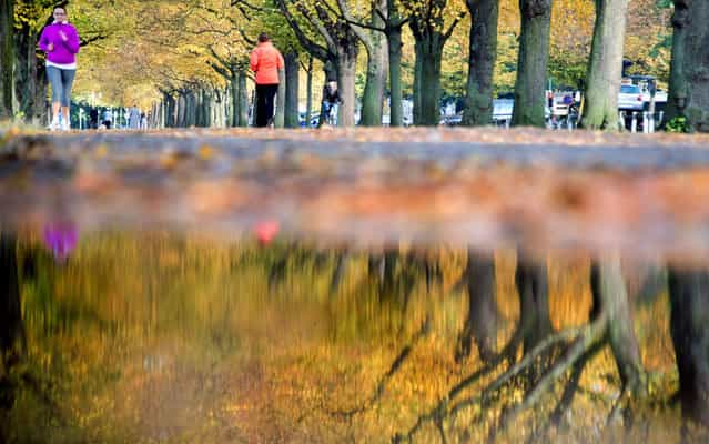Two women jog past autumn colored trees and reflect in a puddle on October 14, 2013 in Hanover, central Germany. (Photo by Julian Stratenschulte/AFP Photo/DPA)