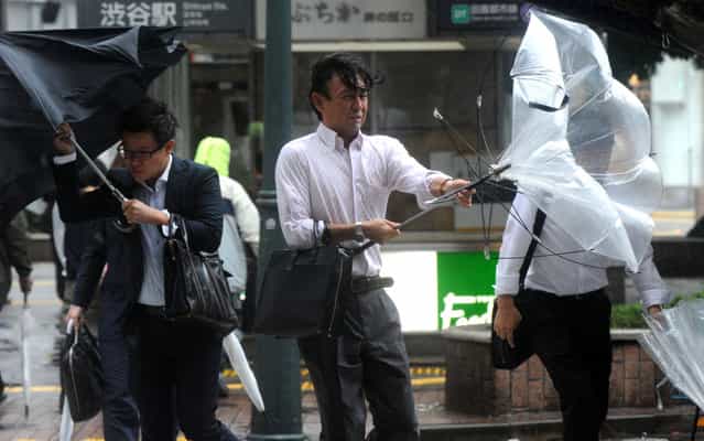 Japanese businessmen walk against strong wind and rain in Tokyo on October 16, 2013. At least three people died as Typhoon Wipha, the [strongest in 10 years], passed close to Tokyo, causing landslides that swallowed houses on a Japanese island. (Photo by Yoshikazu Tsuno/AFP Photo)