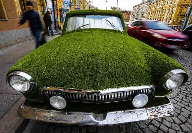 A customized Soviet-era Volga GAZ-21 vintage car covered by artificial grass to advertise for a dairy store in St. Petersburg, Russia, on Oktober 17, 2013. (Photo by Alexander Demianchuk/Reuters)