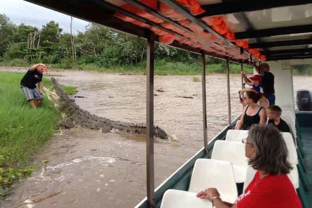 Tour goers watch from the safety of the boat as a guide feeds a crocodile from the bank of the Tarcoles river in Tarcoles, Costa Rica. (Photo and caption by Barcroft Media)