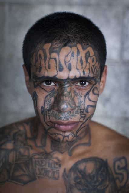 A tattooed inmate at the Centro Preventivo y de Cumplimiento de Penas Ciudad Barrios. The prison is reserved for members of the Mara Salvatrucha (MS) gang. The prison has no guards and is run by the members of the gang. Since opening in 1999, the prison has filled up with gang members and now holds twice as many inmates as it was initially intended for. Conditions are extremely overcrowded and unsanitary and violence is common. In March 2012, the two largest gangs in El Salvador – the Mara Salvatrucha (MS) and the Barrio 18 (M18) – agreed on a truce following secret negotiations between gang leaders in prison which were mediated by a bishop and a former rebel leader. It is unclear whether the decision was the idea of the gangs themselves or whether they were encouraged by the government. The murder and kidnapping rate has fallen significantly since the beginning of the truce but it remains unclear how long the truce will hold. (Photo by Adam Hinton)