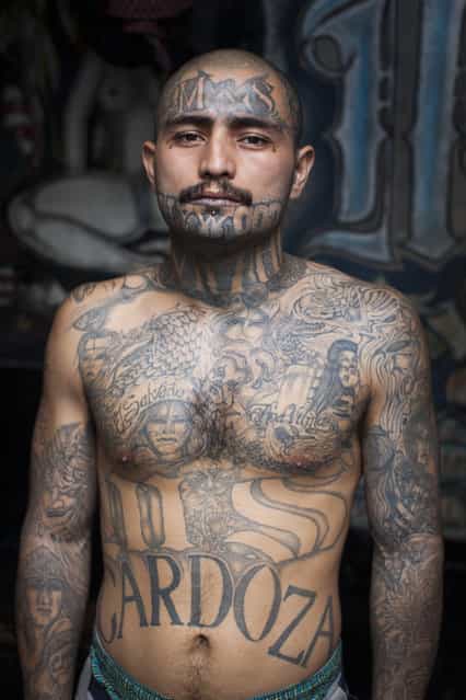 A tattooed inmate at the Centro Preventivo y de Cumplimiento de Penas Ciudad Barrios. The prison is reserved for members of the Mara Salvatrucha (MS) gang. The prison has no guards and is run by the members of the gang. Since opening in 1999, the prison has filled up with gang members and now holds twice as many inmates as it was initially intended for. Conditions are extremely overcrowded and unsanitary and violence is common. In March 2012, the two largest gangs in El Salvador - the Mara Salvatrucha (MS) and the Barrio 18 (M18) - agreed on a truce following secret negotiations between gang leaders in prison which were mediated by a bishop and a former rebel leader. It is unclear whether the decision was the idea of the gangs themselves or whether they were encouraged by the government. The murder and kidnapping rate has fallen significantly since the beginning of the truce but it remains unclear how long the truce will hold. (Photo by Adam Hinton)