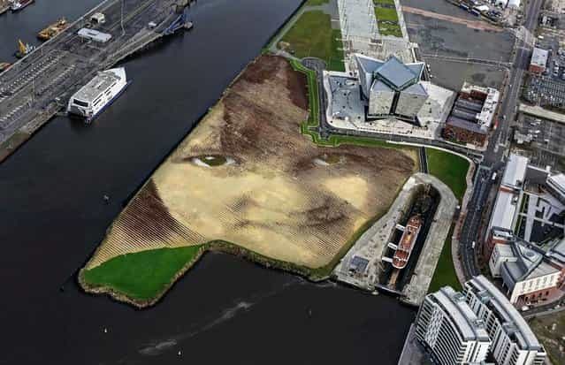 A piece of land art entitled [Wish] showing the face of an anonymous six-year-old local Belfast girl is seen in this aerial view of the Titanic quarter in Belfast, on Oktober 23, 2013. The artwork by Cuban-American artist Jorge Rodriguez-Gerada spans 11 acres, is made up from 2,000 tons of sand, 2,000 tons of soil and some 30,000 wooden pegs. It will remain on view until December 2013. (Photo by Cathal McNaughton/Reuters)