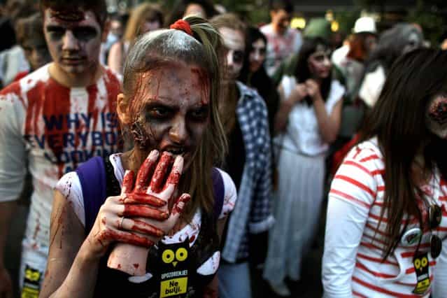 People dressed as zombies take part in the Zombie Walk in Belgrade, Serbia, Saturday, October 19, 2013. Around four hundred volunteers wearing zombie masks and make up paraded in the Serbian capital on Saturday in order to promote a local science fiction film festival. (Photo by Marko Drobnjakovic/AP Photo)