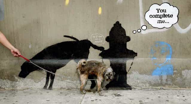 A dog urinates on the new work on West 24th street. (Photo by Mike Segar/Reuters)