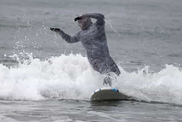 A man dressed as a mummy competes in the ZJ Boarding House Halloween Surf Contest in Santa Monica, California October 26, 2013. (Photo by Lucy Nicholson/Reuters)