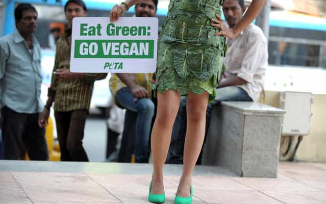 Indian bystanders look on as an activist from The People for the Ethical Treatment of Animals (PETA) poses wearing a dress made of lettuce leaves and holding a placard during a demonstration in Hyderabad on October 31, 2013. PETA is telling the world to stop eating meat and dairy products and switch to a healthy and animal friendly vegan diet on the occasion of Earth Vegan Day on November 1. (Photo by Noah Seelam/AFP Photo)